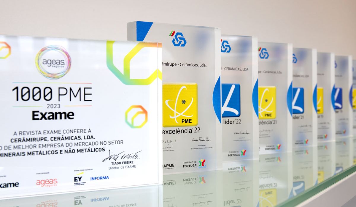 The distinction of a committed team